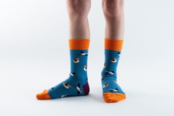 Doris & Dude Childrens Blue Puffin Socks