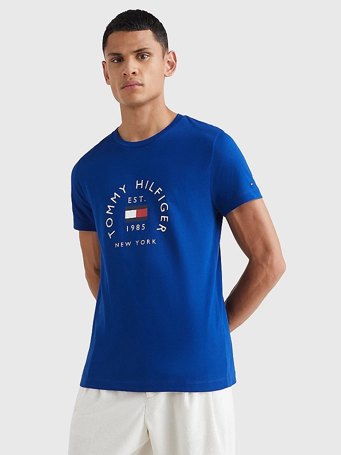 Tommy Hilfiger Bold Blue Arch Logo T-Shirt 27909