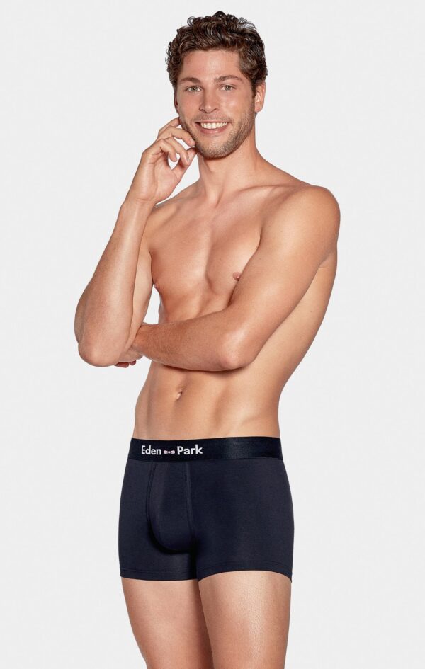 Eden Park 2 Pack Grey Stripe & Navy Underwear