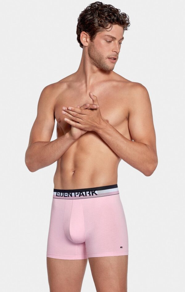 Eden Park 2 Pack Pink & Navy Underwear
