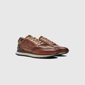 Ambitious Brown Park Trainer